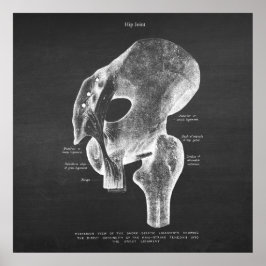 Anatomie Art nr. 4 Hip Joint Poster