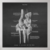 Anatomie Art nr. 5 Knee Joint