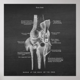 Anatomie Art nr. 5 Knee Joint Poster