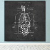 Anatomie Art Spijsverteringsstelsel Doctor Kantoor Canvas Afdruk (Insitu (Houten vloer))