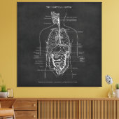 Anatomie Art Spijsverteringsstelsel Doctor Kantoor Canvas Afdruk (Insitu (Woonkamer))