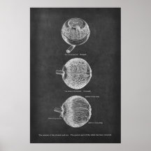 Anatomie-arteriën van de chromosoïde en de iris