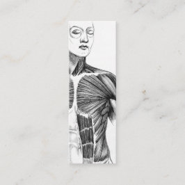  anatomie | B/W Torso (circa 1852) Mini Visitekaartje