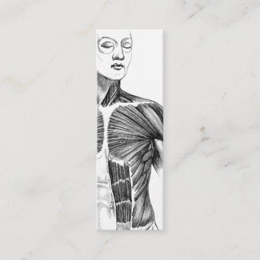  anatomie | B/W Torso (circa 1852) Mini Visitekaartje (Voorkant)