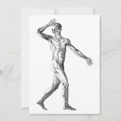  anatomie bij de mens, mannelijke lichaampjes (Voorkant)