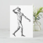  anatomie bij de mens, mannelijke lichaampjes (Staand voorkant)