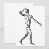  anatomie bij de mens, mannelijke lichaampjes (Voorkant / Achterkant)