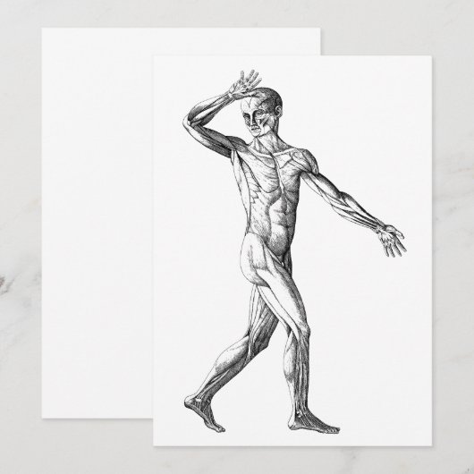  anatomie bij de mens, mannelijke lichaampjes (Voorkant / Achterkant)