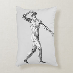 anatomie bij de mens, mannelijke lichaampjes accent kussen