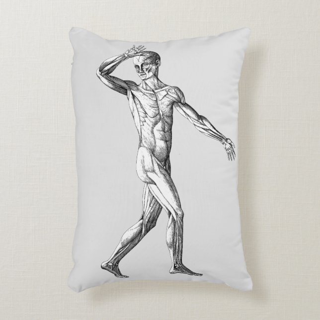  anatomie bij de mens, mannelijke lichaampjes accent kussen (Voorkant(Verticaal))