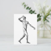  anatomie bij de mens, mannelijke lichaampjes briefkaart (Staand voorkant)