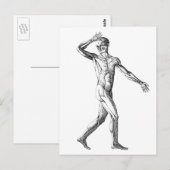  anatomie bij de mens, mannelijke lichaampjes briefkaart (Voorkant / Achterkant)