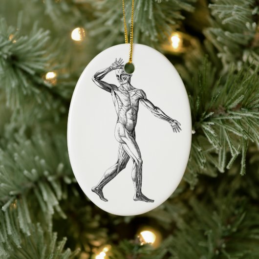  anatomie bij de mens, mannelijke lichaampjes keramisch ornament (Boom)
