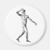  anatomie bij de mens, mannelijke lichaampjes magneet (Voorkant)