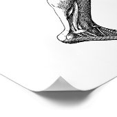  anatomie bij de mens, mannelijke lichaampjes poster (Hoek)