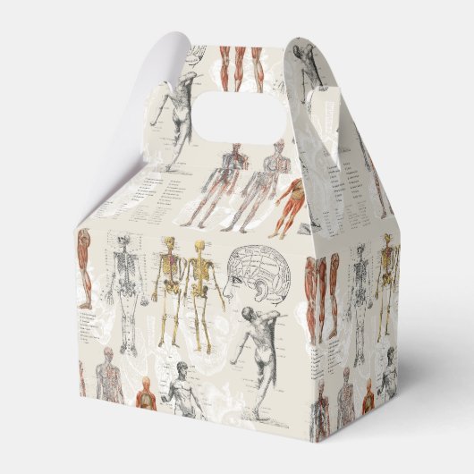  anatomie biologie illustraties bedankdoosjes (Voorkant Zijde)