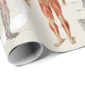  anatomie biologie illustraties cadeaupapier (Rol Hoek)