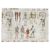 anatomie biologie illustraties groot cadeauzakje (Achterkant)