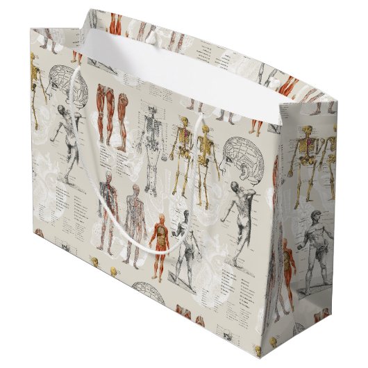  anatomie biologie illustraties groot cadeauzakje (Achterkant Gekanteld)