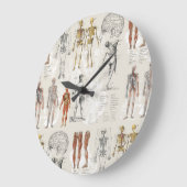  anatomie biologie illustraties grote klok (Hoek)