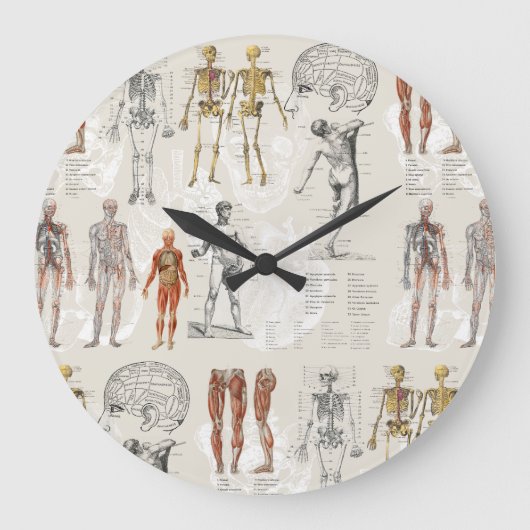  anatomie biologie illustraties grote klok (Voorkant)