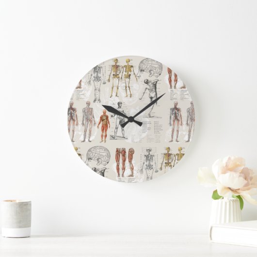  anatomie biologie illustraties grote klok (Huis)