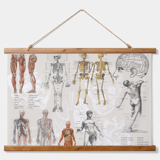  anatomie biologie illustraties hangend wandkleed (Voorkant)