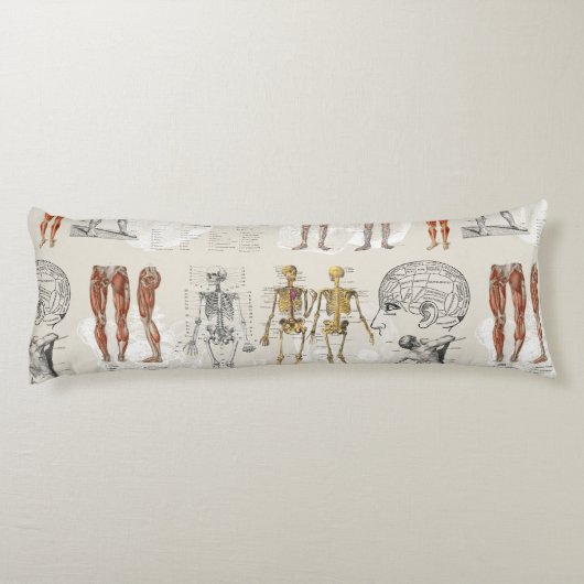 anatomie biologie illustraties lichaamskussen (Achterkant)