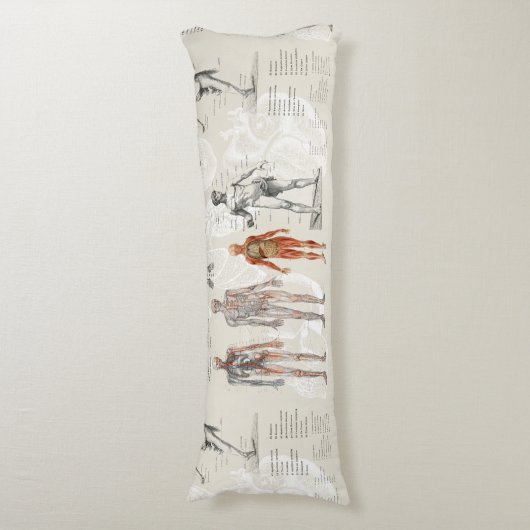 anatomie biologie illustraties lichaamskussen (Voorkant Verticaal)