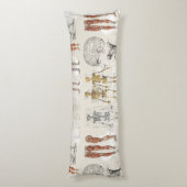 anatomie biologie illustraties lichaamskussen (Achterkant (Verticaal))