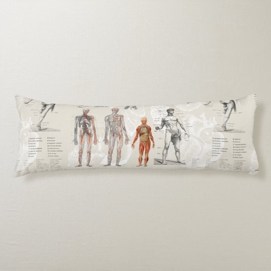 anatomie biologie illustraties lichaamskussen (Voorkant)