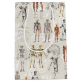 anatomie biologie illustraties medium cadeauzakje (Voorkant)