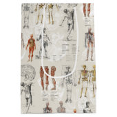 anatomie biologie illustraties medium cadeauzakje (Achterkant)