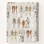  anatomie biologie illustraties notitieboek (Achterkant)