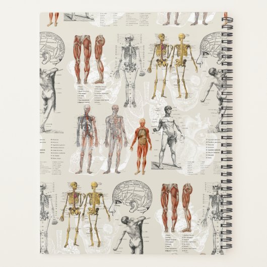  anatomie biologie illustraties planner (Achterkant)