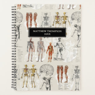 anatomie biologie illustraties planner