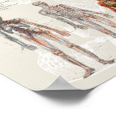  anatomie biologie illustraties poster (Hoek)