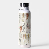  anatomie biologie illustraties waterfles (Rechts)