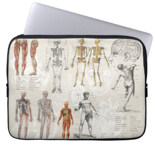 anatomie biologie kunst collage laptop sleeve