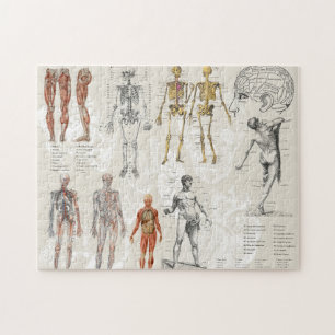 anatomie biologie kunst collage legpuzzel