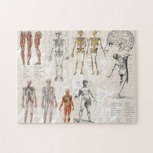 anatomie biologie kunst collage legpuzzel (Horizontaal)
