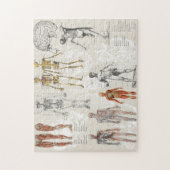 anatomie biologie kunst collage legpuzzel (Verticaal)