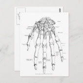  anatomie | Botten van de hand Briefkaart (Voorkant / Achterkant)