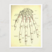  anatomie | Botten van de hand Briefkaart (Voorkant)