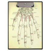 anatomie | Botten van de hand Klembord (Voorkant)