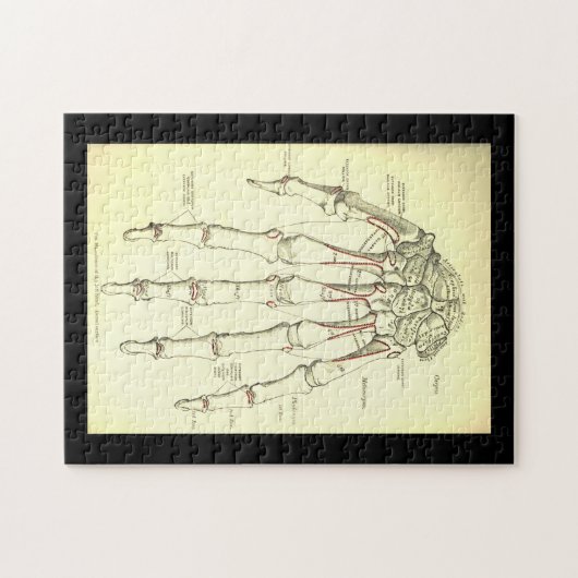  anatomie | Botten van de hand Legpuzzel (Horizontaal)