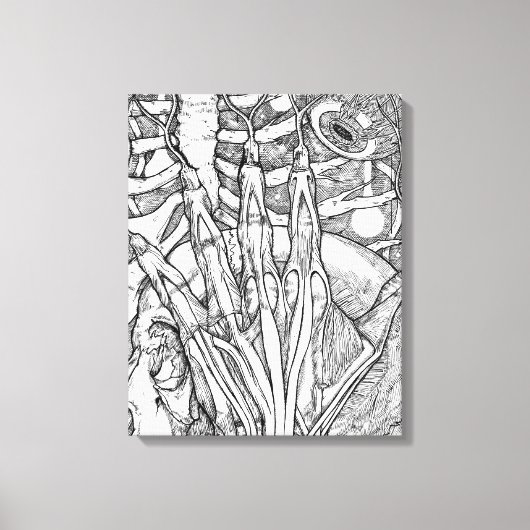Anatomie Canvas Afdruk (Voorkant)