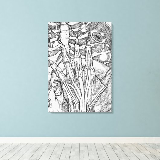 Anatomie Canvas Afdruk (Insitu (Houten vloer))