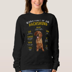 Anatomie dachshund voor vrouwelijke Mannen Trui