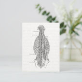  anatomie die de rug trekt briefkaart (Staand voorkant)